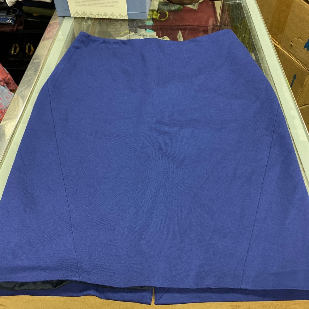 Piazza Sempione Blue Skirt (42)